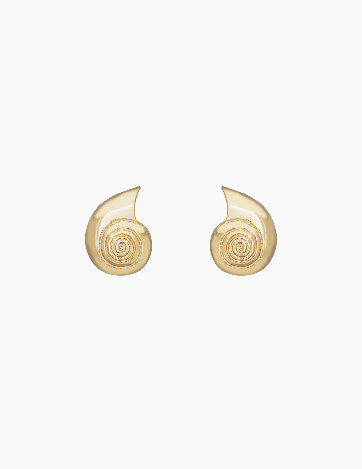 Large Nautilus Shell Earrings