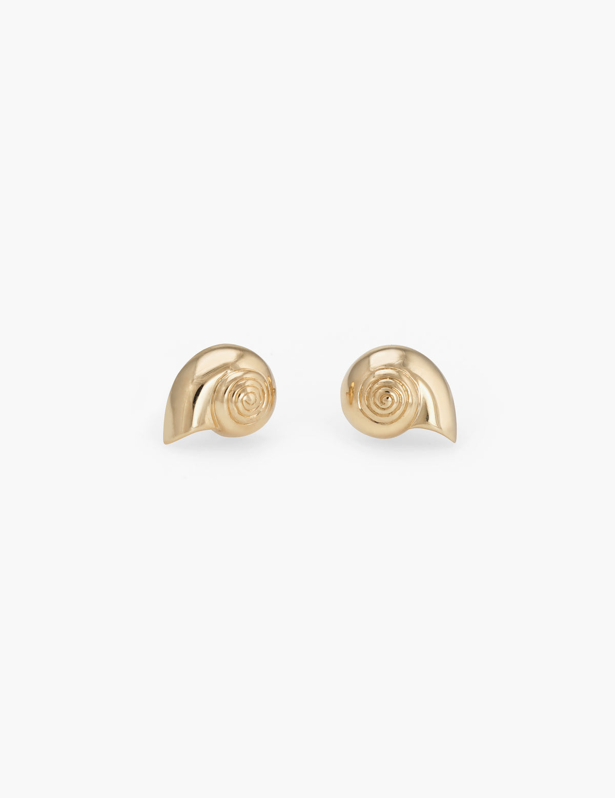 Nautilus Shell Earrings