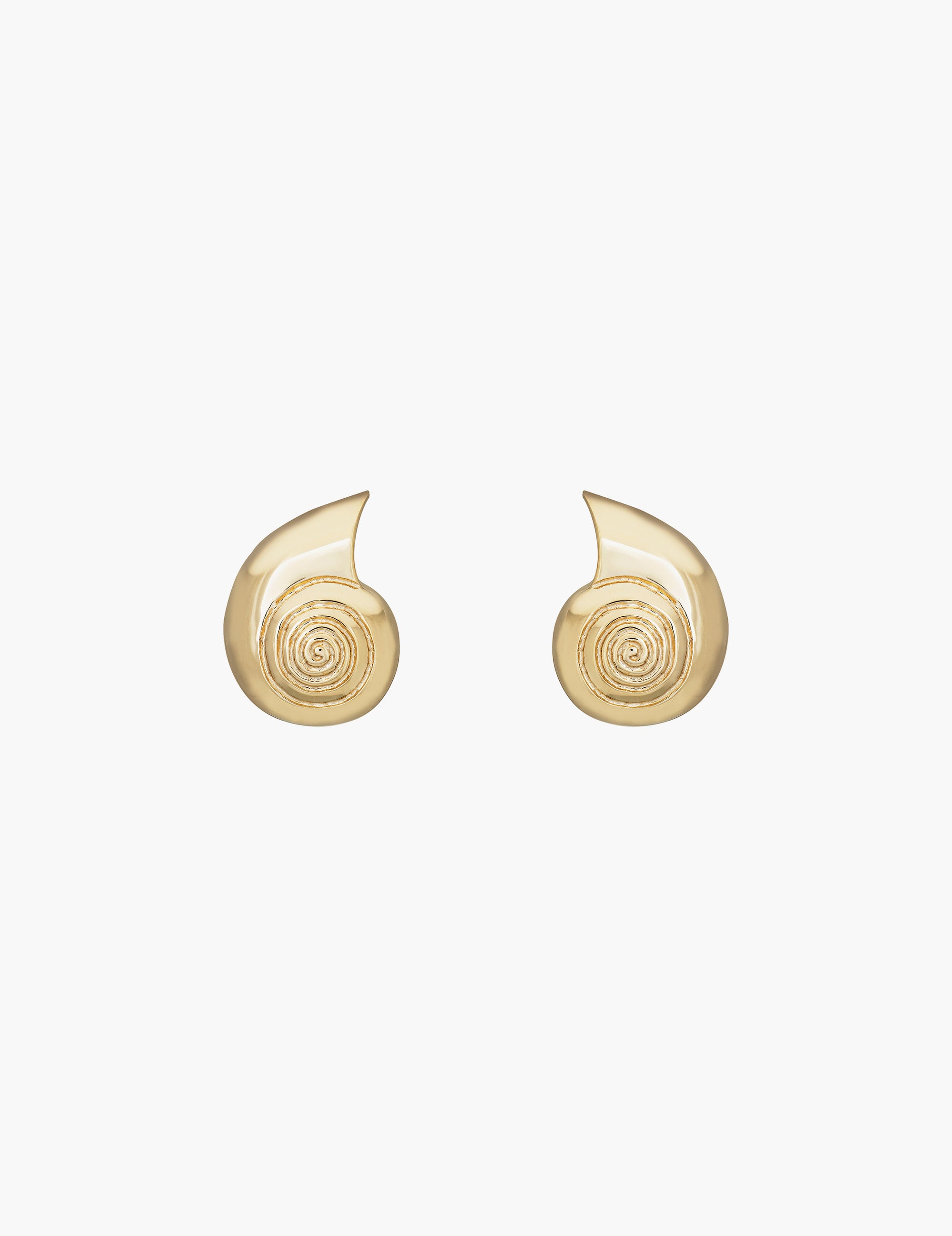 Large Nautilus Shell Earrings