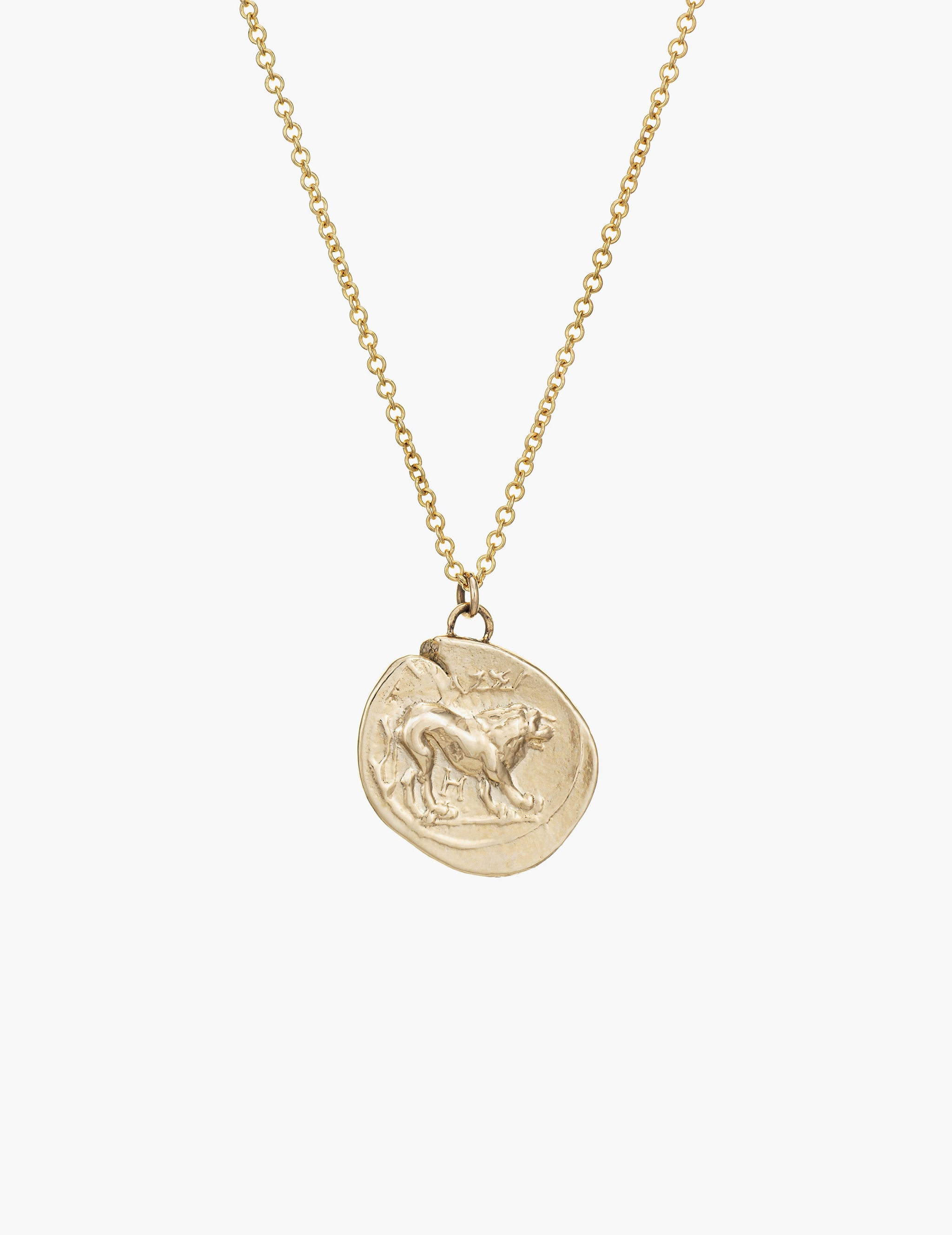 Lion Coin Pendant Kathryn Bentley - Main Image